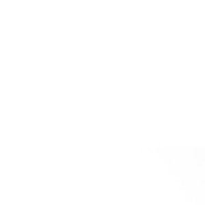 Meet your Posher, Lillys cool